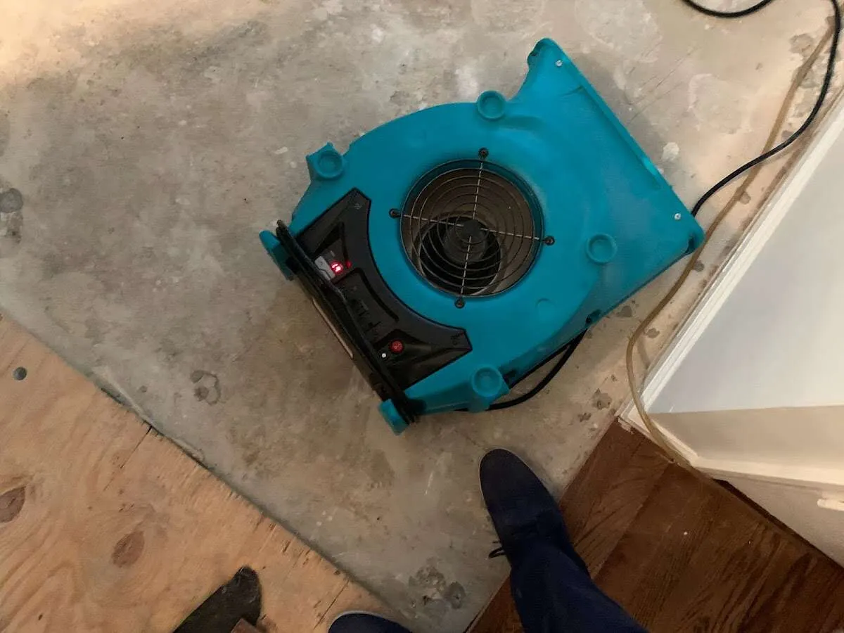 Air mover drying subfloor during Leak Detection & Repair in Seymour